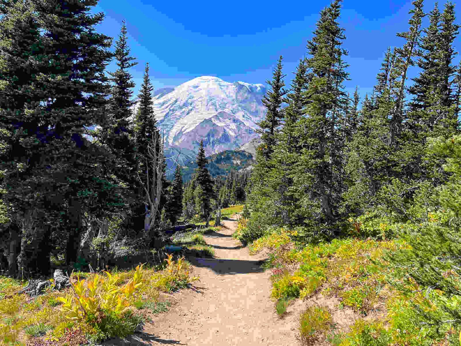 Natürlicher Weg als Symbol für Bewegung bei Gelenkschmerzen und Entzündungen