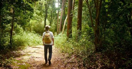 Der Darm – warum hier Gesundheit entsteht Darmgesundheit, Bewegung und Lebensstil – Gesundheit beginnt im Darm