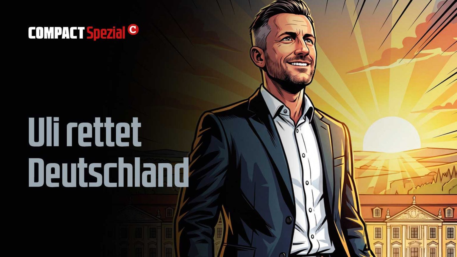 Jetzt neu: Der Comic zur ersten AfD-Regierung!