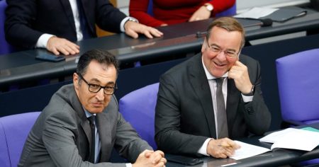 Pistorius und Özdemir fordern AfD-Verbot