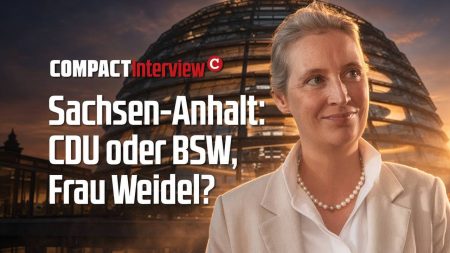 Weidel: Ihre Strategie für Sachsen-Anhalt!