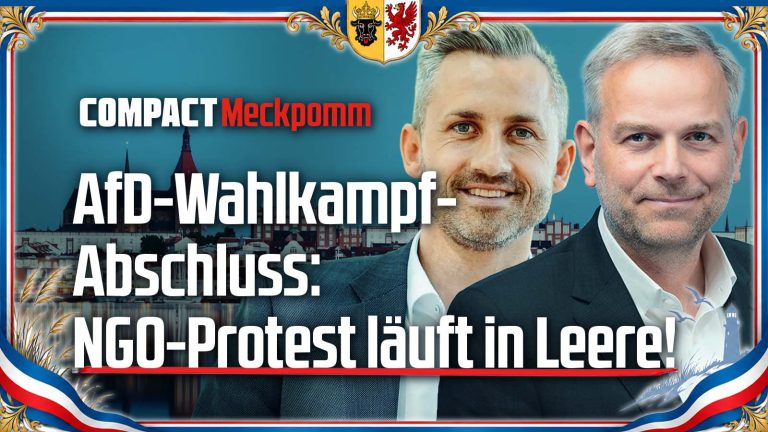 AfD-Wahlkampfabschluss: NGO-Protest läuft ins Leere