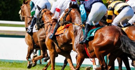 Hitler-Pferd gewinnt – und muss umbenannt werden