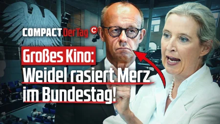 Großes Kino: Weidel rasiert Merz im Bundestag!
