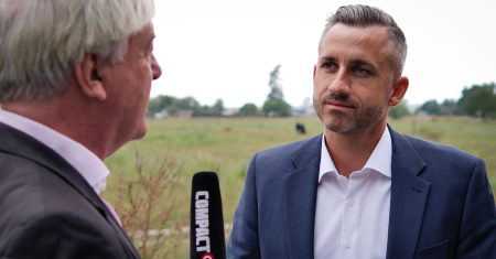 «Das ist nicht im Interesse der AfD»
