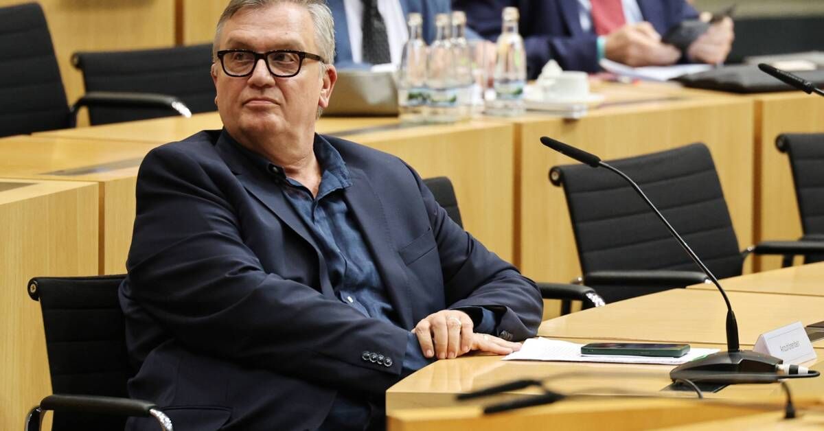 Nach Shitstorm: Hape fleht Altparteien an