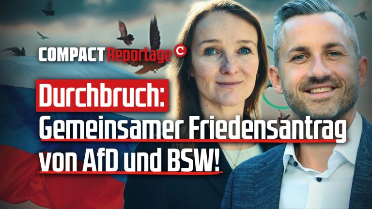 Gemeinsamer Friedensantrag von AfD und BSW!