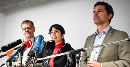 Geier über der Stadt